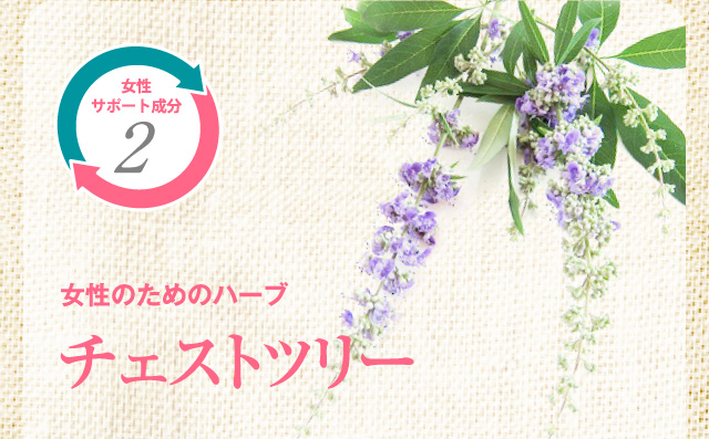 女性のためのハーブ チェストツリー